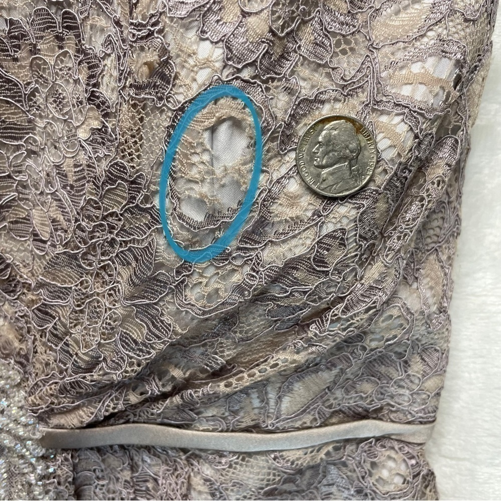 Zac Posen Truly Guipure Lace Sleeveless Special Occasion Dress in Gray Silver 2 - Picture 12 of 16